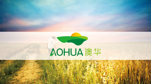 澳大利亚Aohua international pty ltd 标志设计